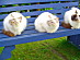 View full size picture