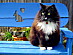 View full size picture