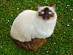 View full size picture