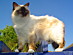View full size picture
