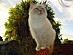 View full size picture