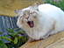 View full size picture