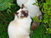 View full size picture