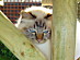 View full size picture