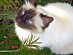 View full size picture