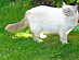 View full size picture