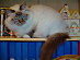 View full size picture