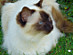 View full size picture