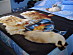 View full size picture