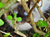 View full size picture