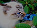View full size picture