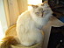 View full size picture