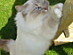 View full size picture