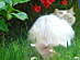 View full size picture