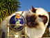 View full size picture
