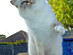 View full size picture
