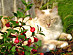 View full size picture