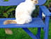 View full size picture