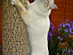 View full size picture