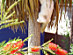View full size picture