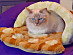 View full size picture