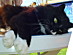 View full size picture