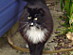 View full size picture