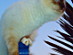 View full size picture