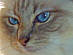 View full size picture