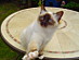View full size picture