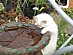 View full size picture