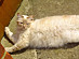 View full size picture