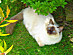 View full size picture