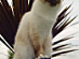 View full size picture