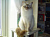 View full size picture