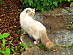View full size picture