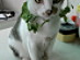 View full size picture