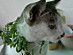View full size picture