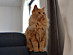View full size picture