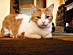 View full size picture