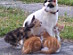 View full size picture