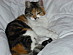 View full size picture