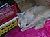 View full size picture