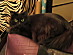 View full size picture