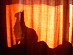 View full size picture