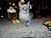 View full size picture