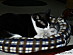 View full size picture