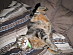 View full size picture