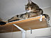 View full size picture