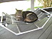 View full size picture
